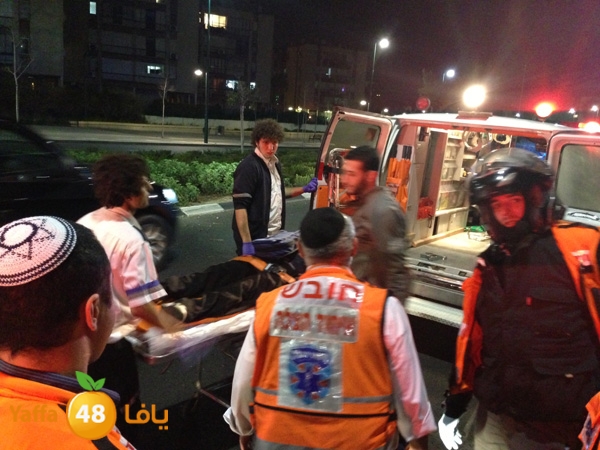 shaccmidnighty114 (6).jpg